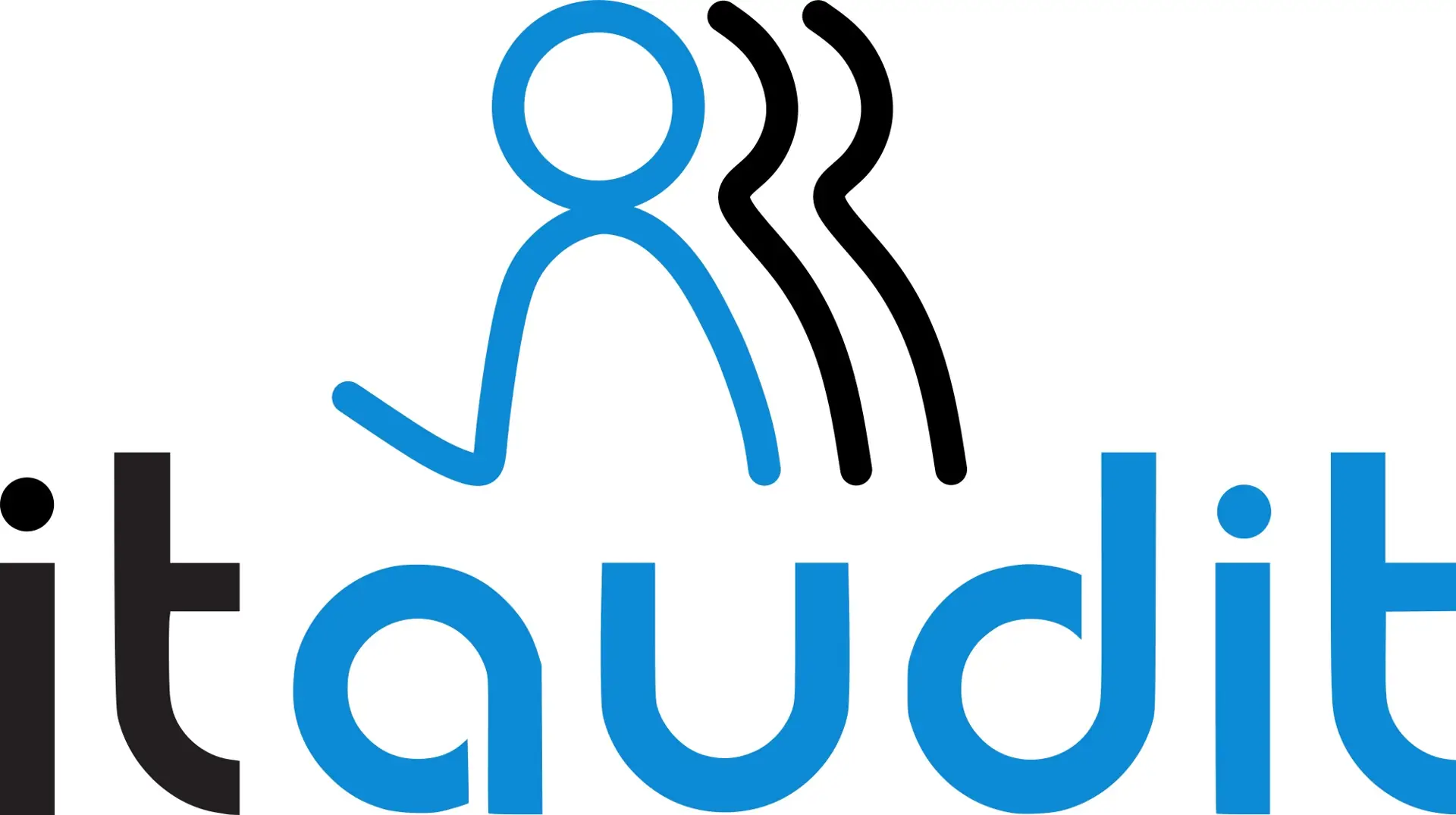 itaudit