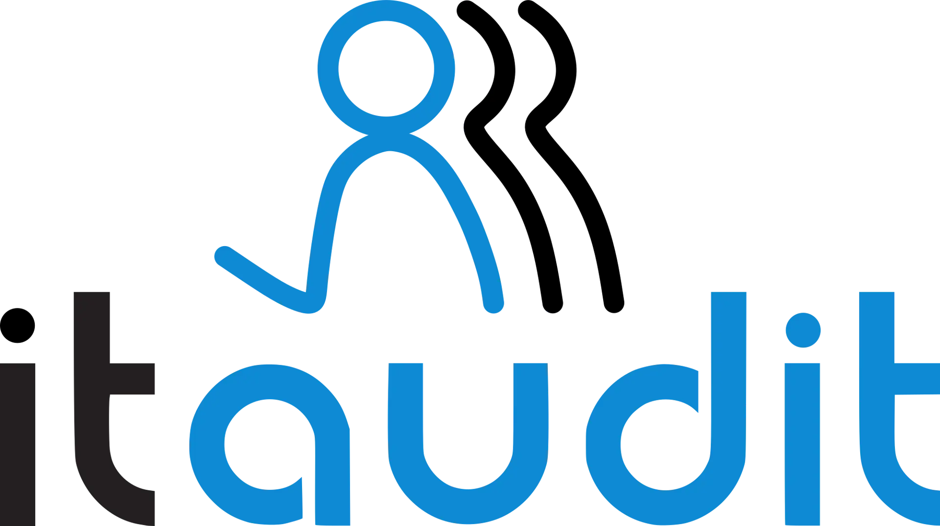 it_audit_logo